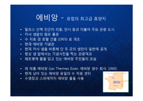 [마케팅] 명품생수의 블루오션을 개척한 프랑스 에비앙(evian)의 프리미엄 브랜드 마케팅 케이스 연구 발표 PPT-6