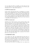 [인터넷관광여행사] 인터넷관광여행사의 개념, 분류와 인터넷관광여행사의 현황, 인터넷관광여행사의 인터넷마케팅 현황 및 인터넷관광여행사의 문제점 그리고 제언 고찰-8