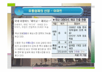 [유통] 이마트의 성공적인 마케팅-5