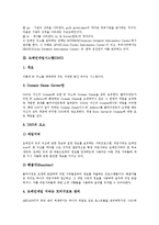 [도메인네임, 도메인] 도메인네임(도메인)의 개념, 도메인네임시스템(DNS)의 고찰과 도메인네임분쟁(도메인분쟁)의 처리 동향 및 도메인네임분쟁(도메인분쟁)에 대한 대응 분석(다양한 사례 중심)-4