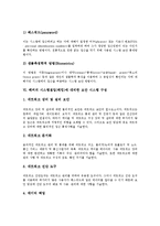 [해커, 시스템침입, 해킹] 해커의 시스템침입(해킹) 과정과 해커의 시스템침입(해킹)에 대한 대응 방안 및 해커의 시스템침입(해킹)에 대비한 보안시스템 구성 분석(사례 중심)-8