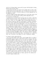 [영재교육의 이해와 우리나라 영재교육 전략] 영재교육의 이해와 우리나라 영재교육 전략-5
