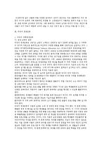 [영재교육의 이해와 우리나라 영재교육 전략] 영재교육의 이해와 우리나라 영재교육 전략-13