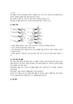 [예체능] 수영영법에 관하여(자유형,평영,접영,배영)-5