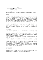 [예체능] 수영영법에 관하여(자유형,평영,접영,배영)-8