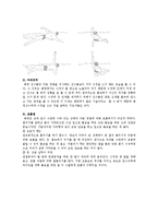 [예체능] 수영영법에 관하여(자유형,평영,접영,배영)-12