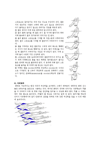 [예체능] 수영영법에 관하여(자유형,평영,접영,배영)-15