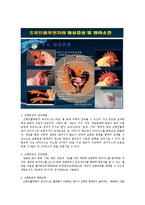 [OCU] [OCU 환경과 생활] 조류독감에 의한 환경오염-3