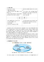 [인적자원관리] [인적자원관리]SK텔레콤 인적자원관리 사례분석(A+리포트)-5