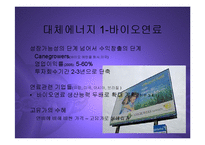 [경영] 대체에너지산업의 현황과 관련한국기업전망 PPT-7