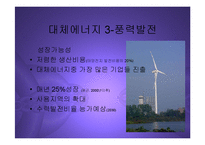 [경영] 대체에너지산업의 현황과 관련한국기업전망 PPT-12