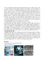 [기술과 사회, 나노바이오기술] 나노바이오기술-4
