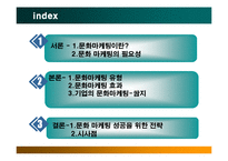 [아트마케팅] 문화마케팅 -쌈지사례를 중심으로-2