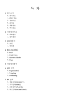 [경영학] 레인콤과 코원 기업분석 및 경영전략-2