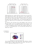 [경영학] 레인콤과 코원 기업분석 및 경영전략-11