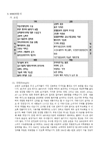 [경영학] 레인콤과 코원 기업분석 및 경영전략-15
