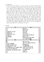[경영학] 레인콤과 코원 기업분석 및 경영전략-17