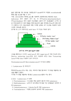 OLED(Organic Light emitting diode) & PLED제작-4