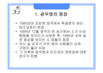 [응용생물학] 광우병(BSE)과 크로이츠펠트-야곱병(CJD)-3
