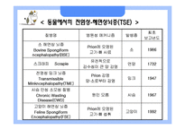 [응용생물학] 광우병(BSE)과 크로이츠펠트-야곱병(CJD)-6