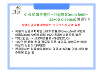 [응용생물학] 광우병(BSE)과 크로이츠펠트-야곱병(CJD)-7