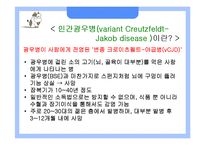 [응용생물학] 광우병(BSE)과 크로이츠펠트-야곱병(CJD)-9