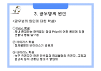 [응용생물학] 광우병(BSE)과 크로이츠펠트-야곱병(CJD)-11