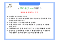 [응용생물학] 광우병(BSE)과 크로이츠펠트-야곱병(CJD)-12