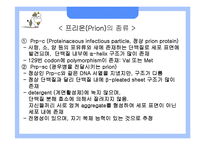 [응용생물학] 광우병(BSE)과 크로이츠펠트-야곱병(CJD)-13