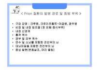 [응용생물학] 광우병(BSE)과 크로이츠펠트-야곱병(CJD)-17