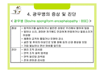 [응용생물학] 광우병(BSE)과 크로이츠펠트-야곱병(CJD)-20