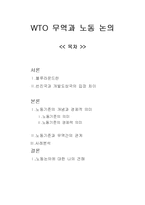 [국제무역] 노동기준 이론 및 사례-1
