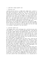[국제무역] 노동기준 이론 및 사례-3