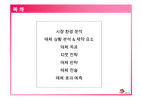 [마케팅원론] 삼성 SENS 매체 전략안-2