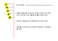 트라스트 광고마케팅 기획서-11