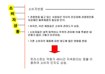 트라스트 광고마케팅 기획서-12