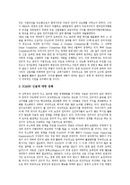 [도메인] 도메인네임(도메인이름) 정책의 변화와 도메인네임(도메인이름)의 할당 원칙 및 도메인네임(도메인이름)분쟁 사례를 통해 본 도메인네임(도메인이름)분쟁 해결을 위한 조직구성에 관한 분석-3