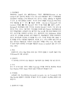 [관광학] 벨기에의 문화관광-2
