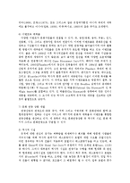 [관광학] 벨기에의 문화관광-4