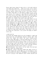 [관광학] 벨기에의 문화관광-7