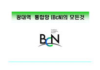 광대역 통합망(BCN)의 모든 것-1