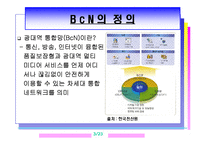 광대역 통합망(BCN)의 모든 것-3