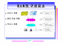 광대역 통합망(BCN)의 모든 것-4