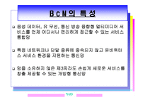 광대역 통합망(BCN)의 모든 것-7