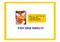 [브랜드마케팅] [브랜드마케팅] 상품밥 시장확대를 위한 CJ `햇반` 커뮤니케이션전략(A+리포트)-2
