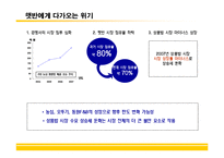 [브랜드마케팅] [브랜드마케팅] 상품밥 시장확대를 위한 CJ `햇반` 커뮤니케이션전략(A+리포트)-3