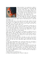 [패션과 소비자행동] Bluesumer(블루슈머 마케팅)-15