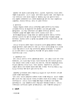 [독일문학] 양철북-2