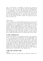 [독일문학] 요한 볼프강 폰 괴테-4