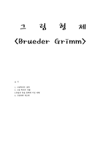 [독일문학] 그림형제-6